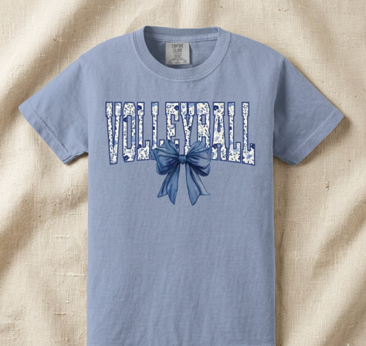 Volleyball with Blue Bow